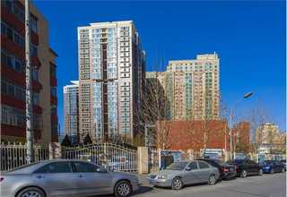 冬季灭鼠服务咨询